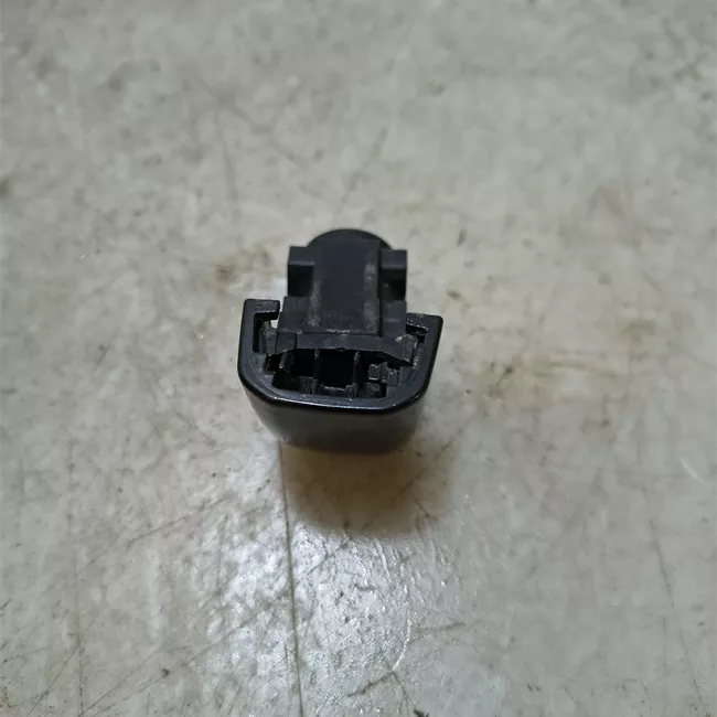 Maniglia porta posteriore sinistra