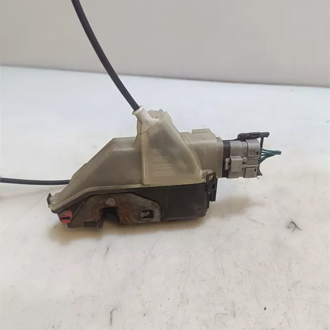 Serratura porta posteriore sinistra