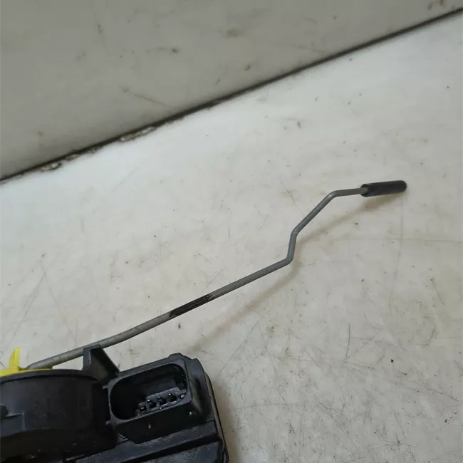 Serratura porta posteriore sinistra