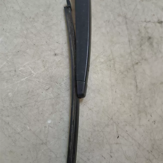 Braccio tergilunotto