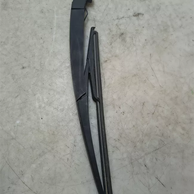 Braccio tergilunotto