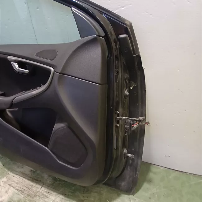 Porta anteriore sinistra