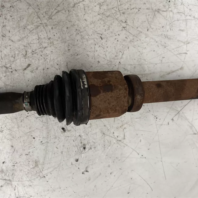 Semialbero anteriore completo destro