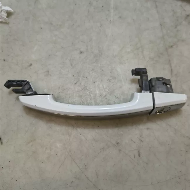 Maniglia porta anteriore sinistra primer