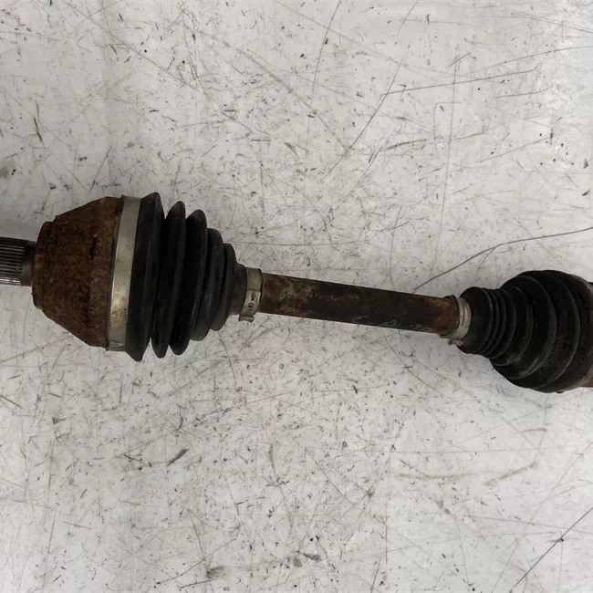 Semialbero anteriore completo sinistro