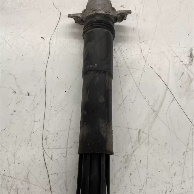 Ammortizzatore posteriore sinistro Moll.1/2/3 sport standard