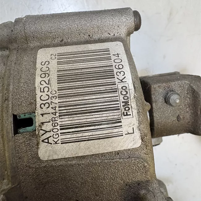 Servosterzo elettronico