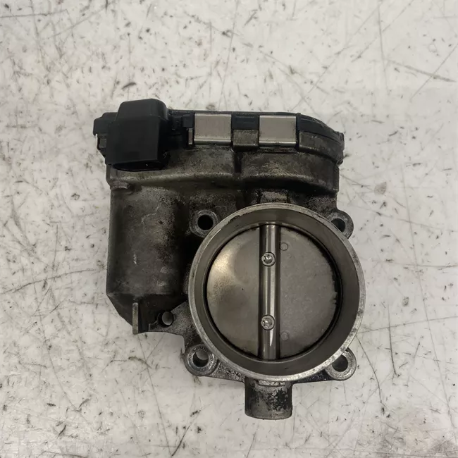 Corpo farfallato rotazionale