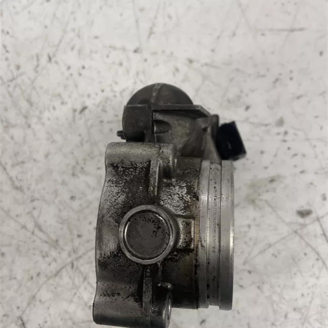 Corpo farfallato rotazionale