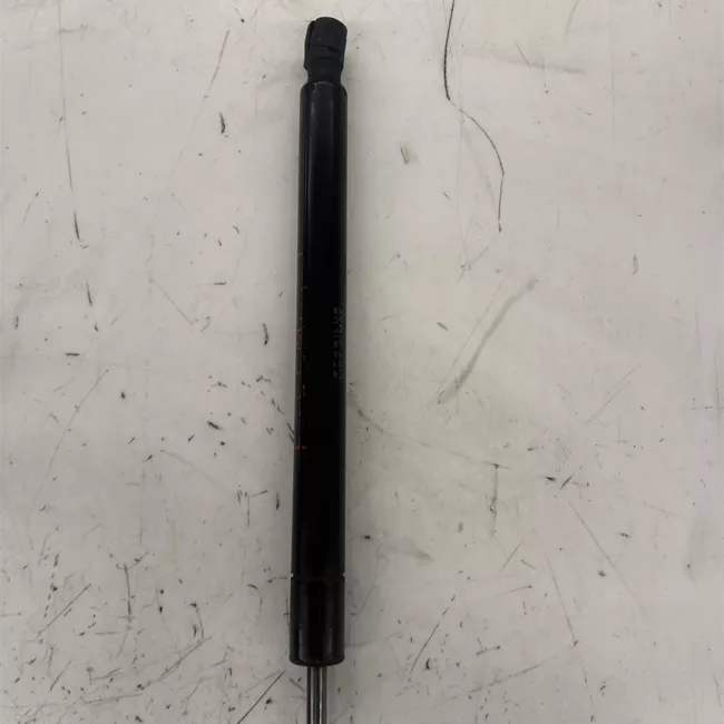 Asta ammortizzante portello posteriore sinistra