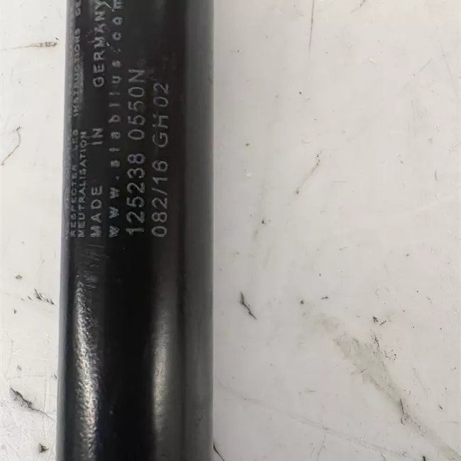 Asta ammortizzante portello posteriore sinistra