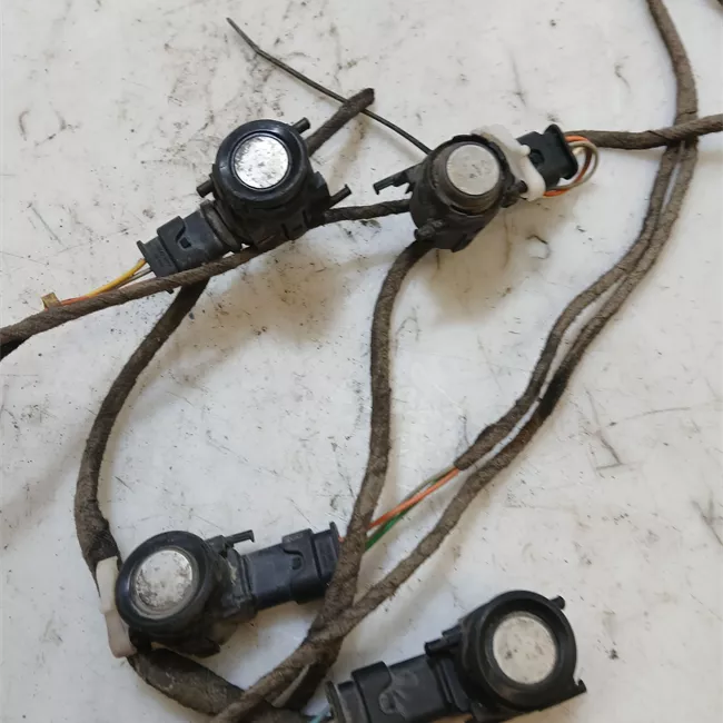 Sensore parcheggio posteriore centrale