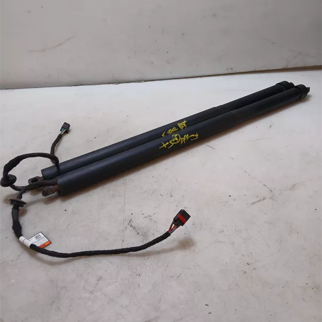 Asta ammortizzante portello posteriore