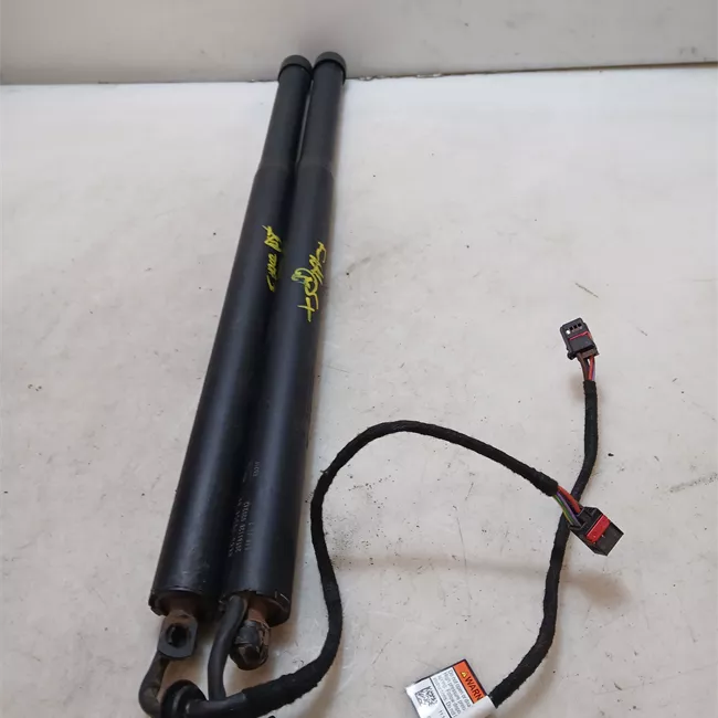 Asta ammortizzante portello posteriore