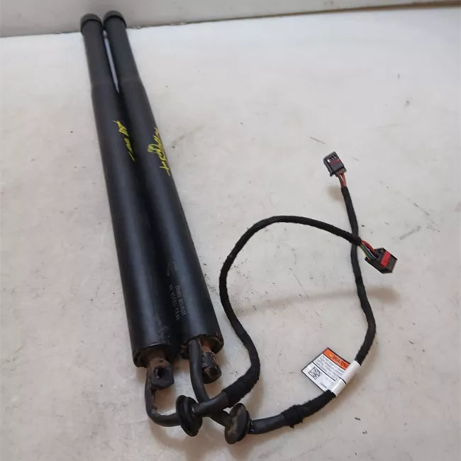 Asta ammortizzante portello posteriore