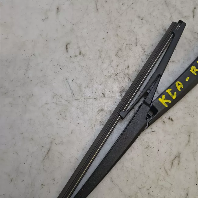 Braccio tergilunotto