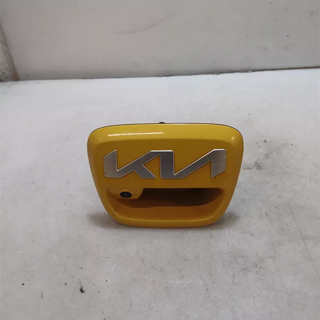 Maniglia portello posteriore telecamera posteriore