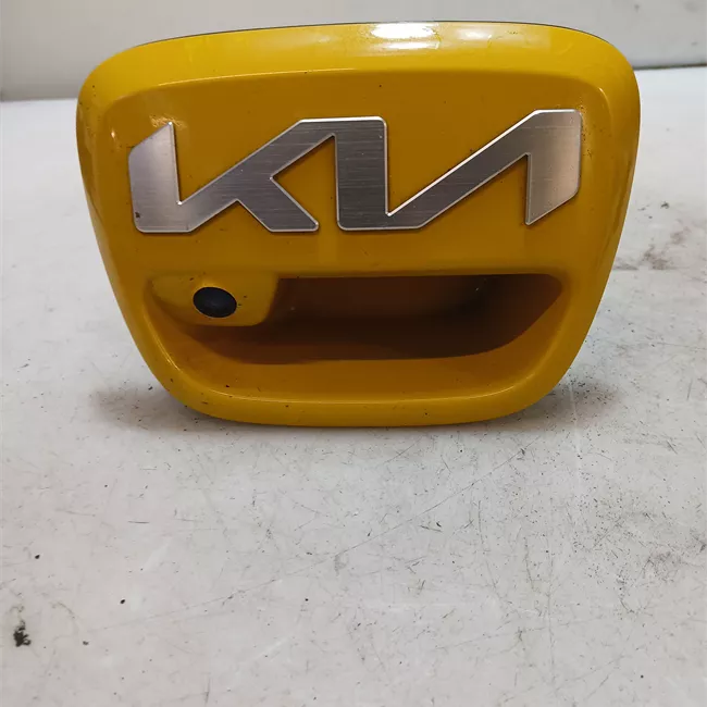 Maniglia portello posteriore telecamera posteriore