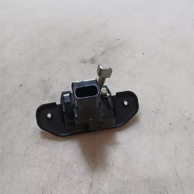 Serratura portello posteriore