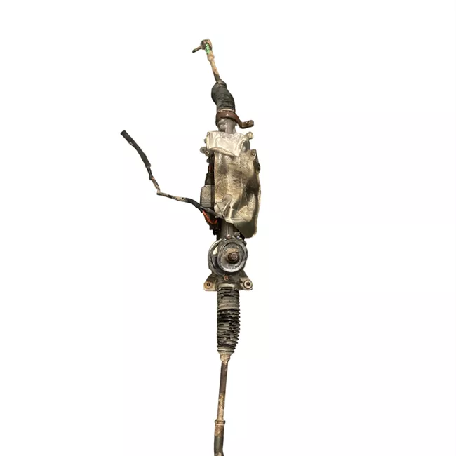 Scatola sterzo servoassistita elettronica