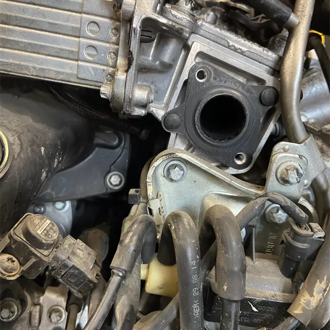 Motore completo Rilevare numero cat da ricambio