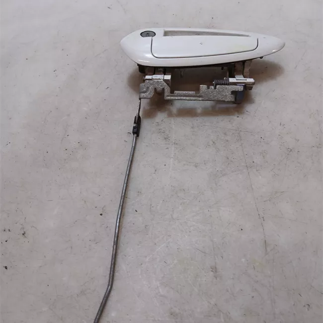 Maniglia porta anteriore sinistra