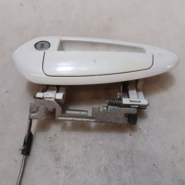 Maniglia porta anteriore sinistra