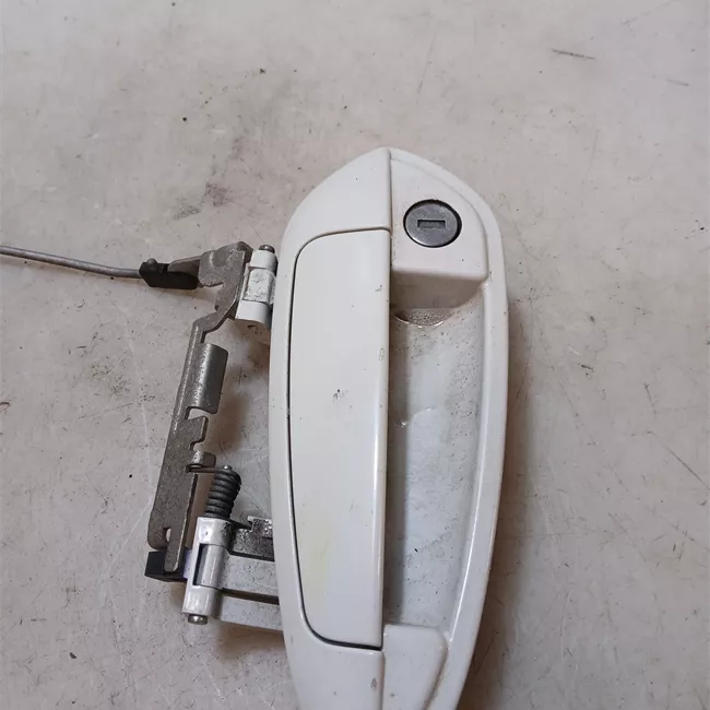 Maniglia porta anteriore sinistra