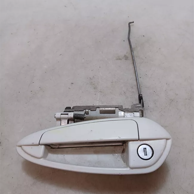 Maniglia porta anteriore sinistra