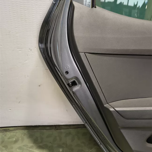 Porta posteriore sinistra con metà cerniere