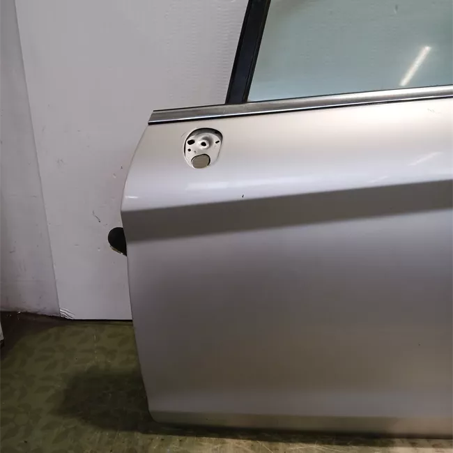 Porta anteriore sinistra