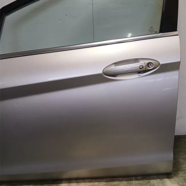 Porta anteriore sinistra