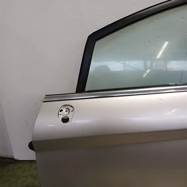 Porta anteriore sinistra