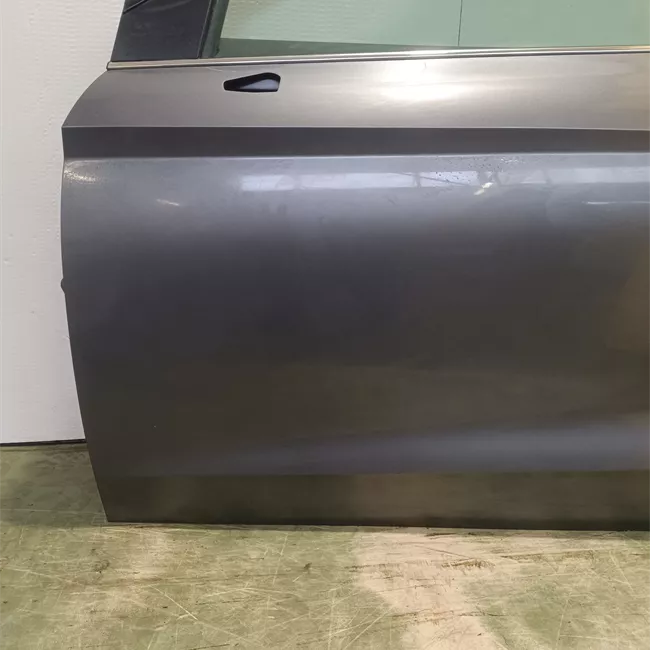 Porta anteriore sinistra con metà cerniere