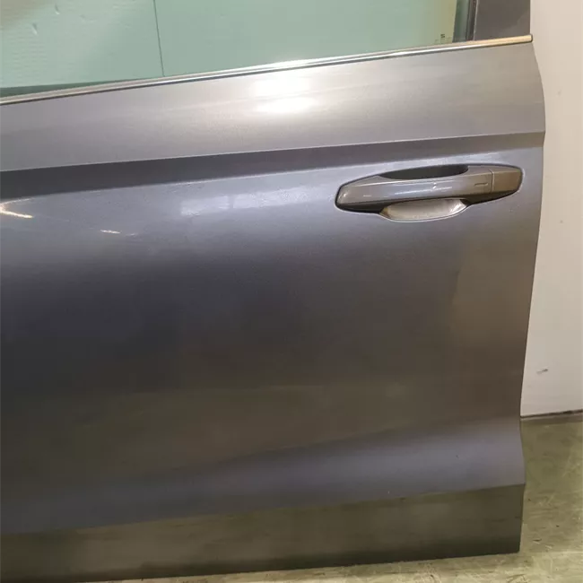 Porta anteriore sinistra con metà cerniere