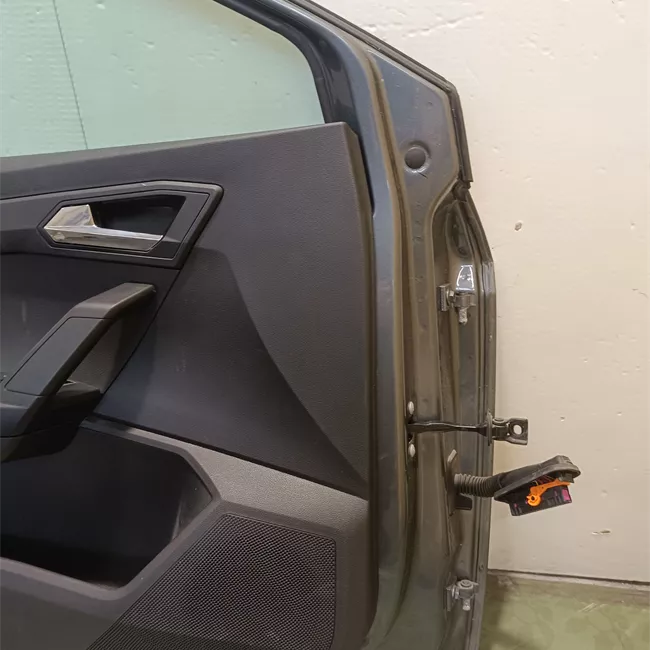 Porta anteriore sinistra con metà cerniere