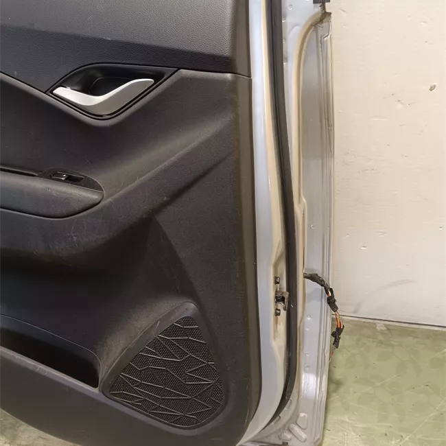 Porta posteriore sinistra