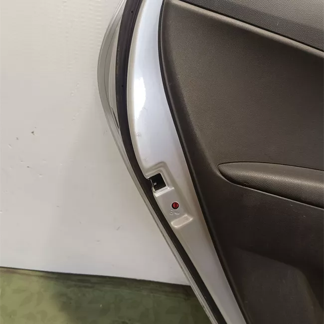 Porta posteriore sinistra