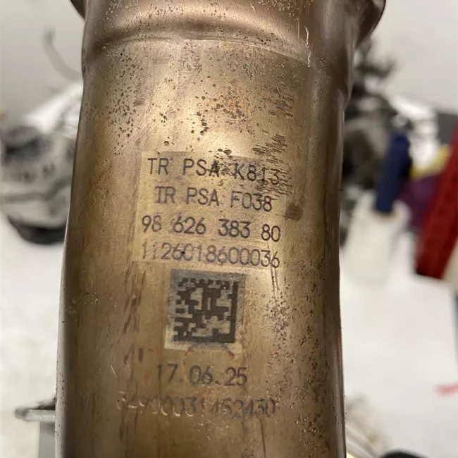 Convertitore catalitico