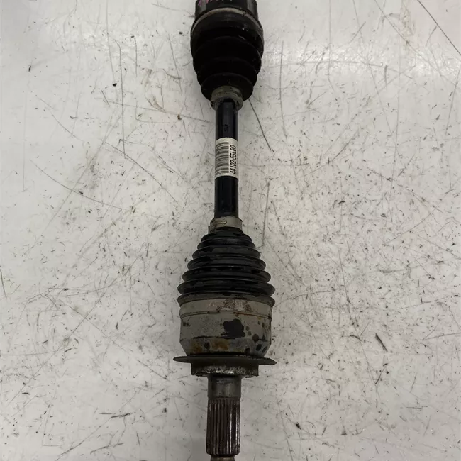 Semialbero anteriore completo sinistro