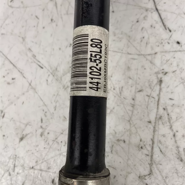 Semialbero anteriore completo sinistro