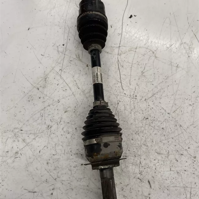 Semialbero anteriore completo sinistro