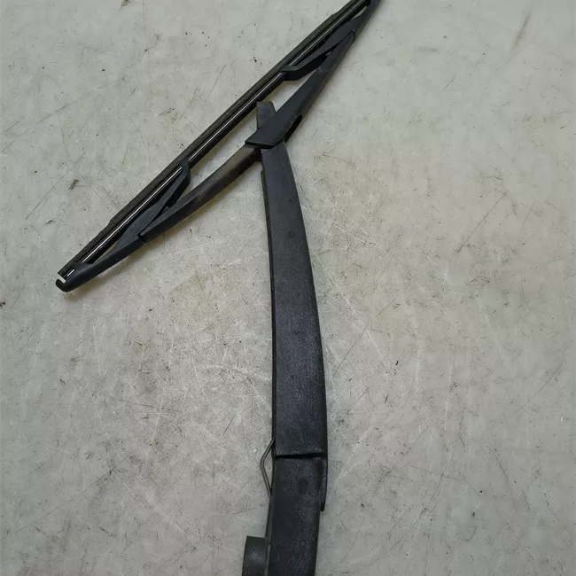 Braccio tergilunotto