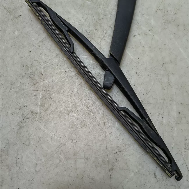 Braccio tergilunotto