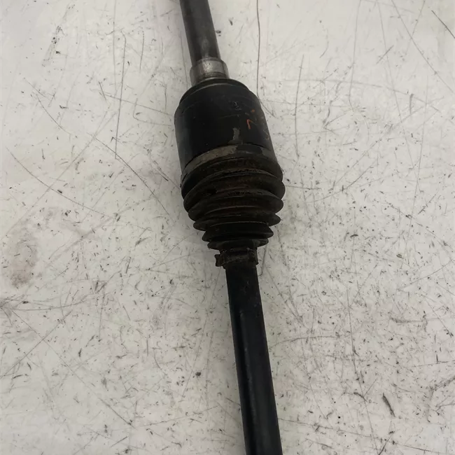 Semialbero anteriore completo destro