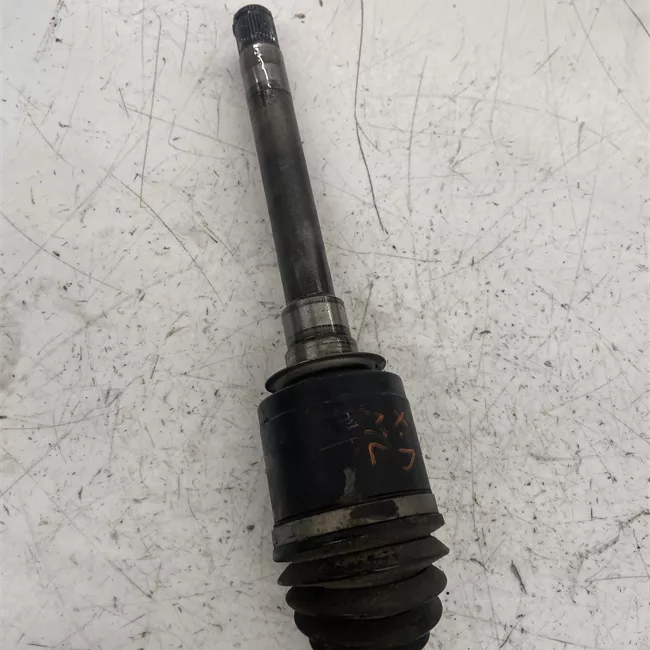 Semialbero anteriore completo destro