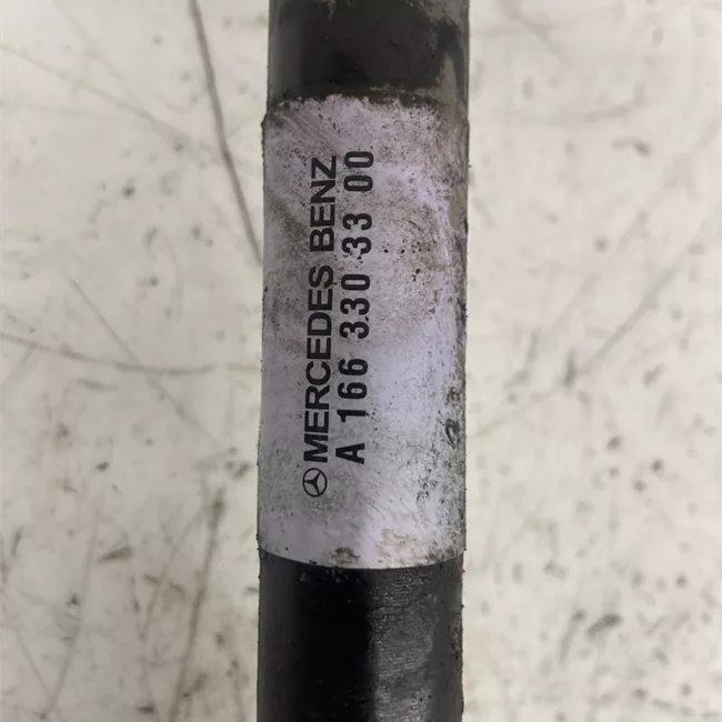 Semialbero anteriore completo sinistro