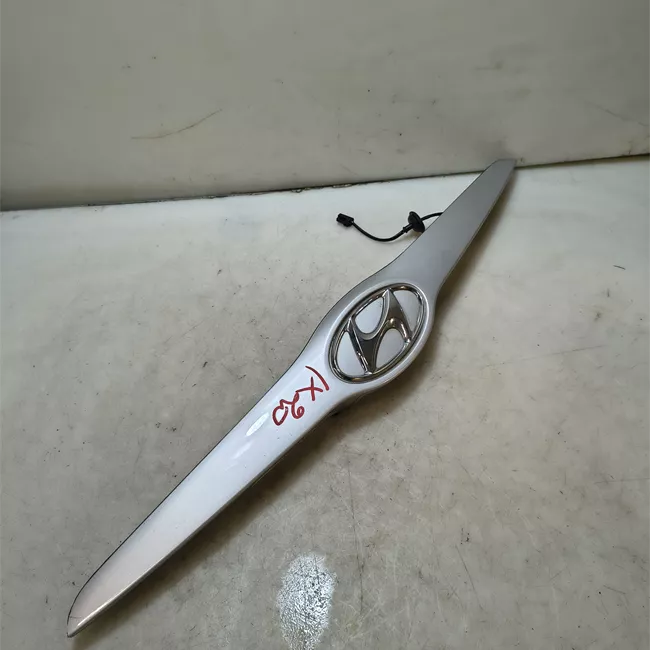 Maniglia portello posteriore