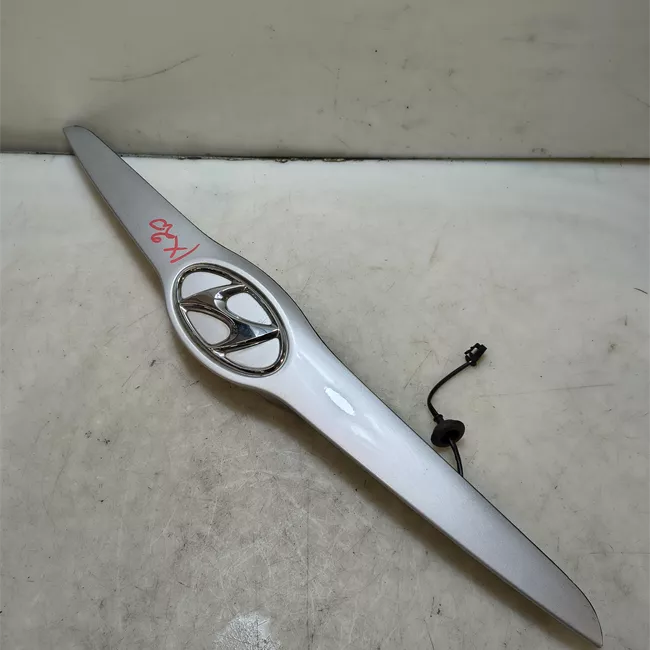 Maniglia portello posteriore