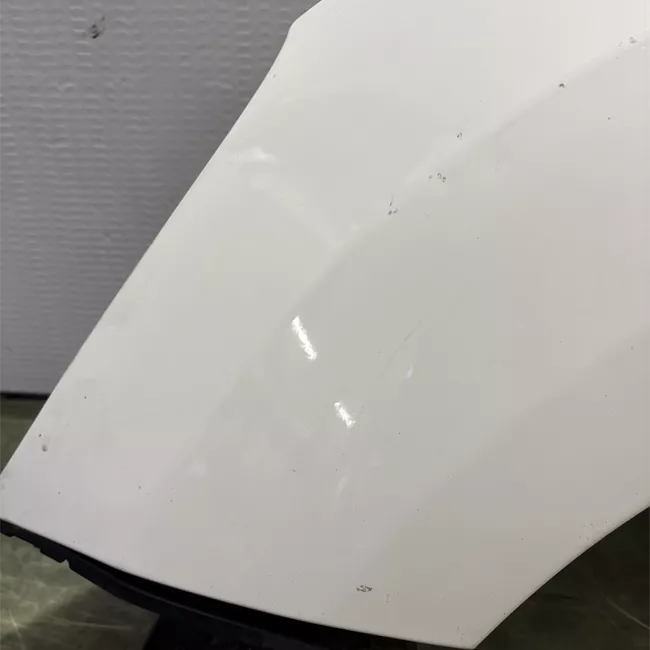 Parafango anteriore sinistro